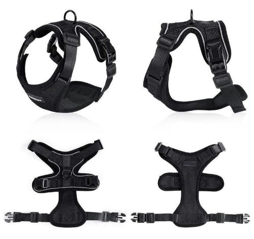 Escape-Proof Cat Harness for Safe Adventures
