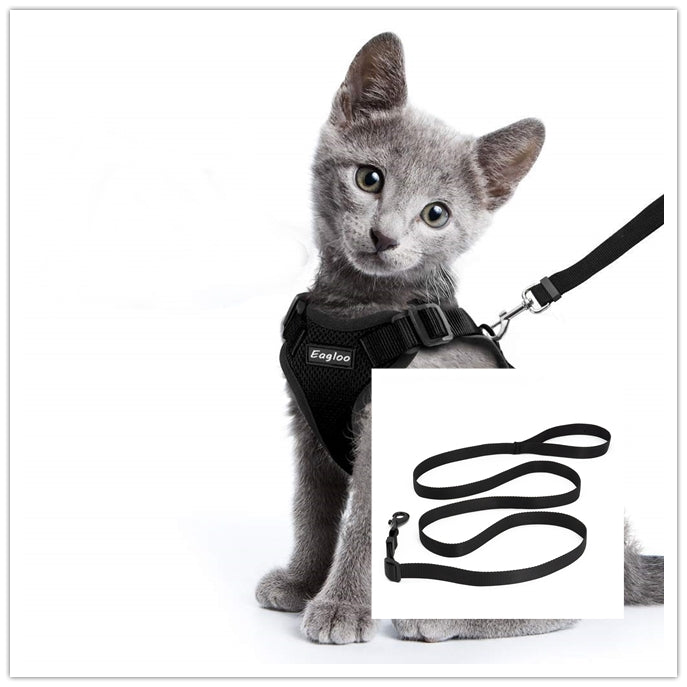 Escape-Proof Cat Harness for Safe Adventures