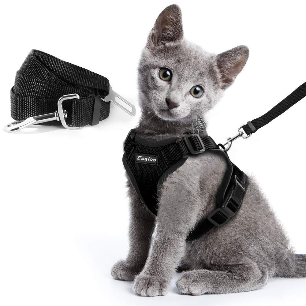 Escape-Proof Cat Harness for Safe Adventures