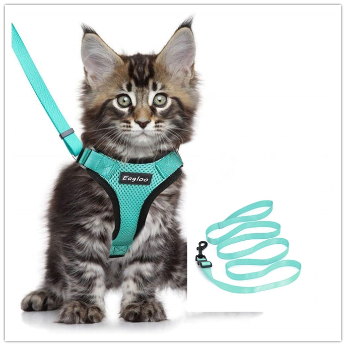 Escape-Proof Cat Harness for Safe Adventures