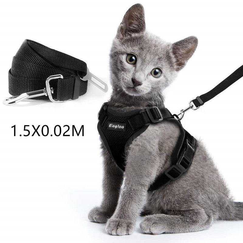 Escape-Proof Cat Harness for Safe Adventures