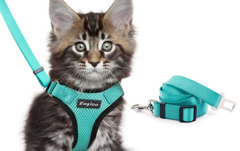 Escape-Proof Cat Harness for Safe Adventures