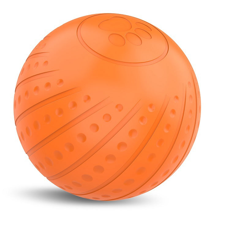 Bite-resistant Automatic Ball for Dogs