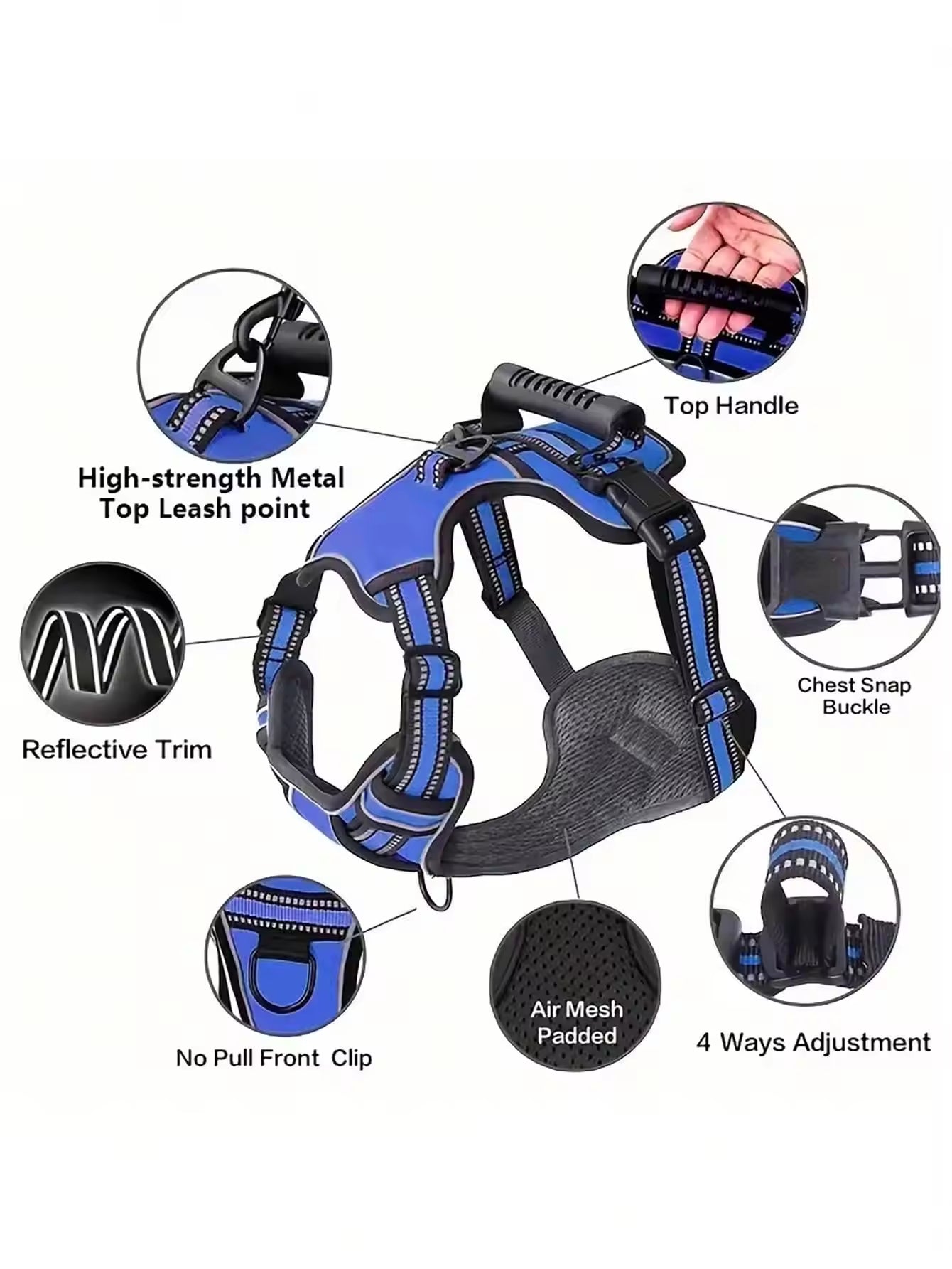 All-in-One Travel Kit for Dogs