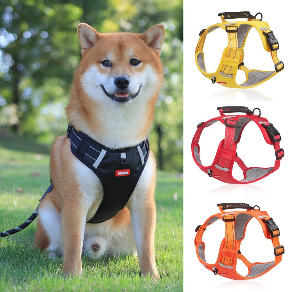 No-Pull Comfort Harness for Happy Dogs