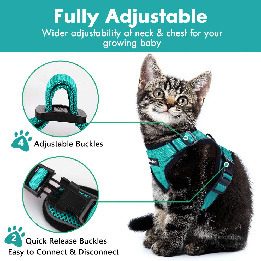 Escape-Proof Cat Harness for Safe Adventures