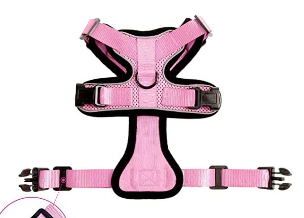 Escape-Proof Cat Harness for Safe Adventures
