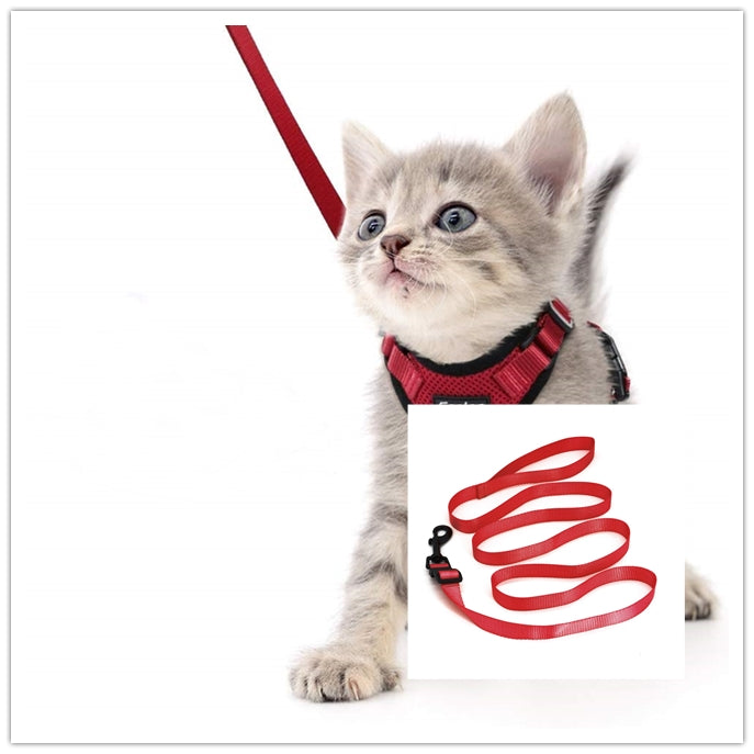 Escape-Proof Cat Harness for Safe Adventures