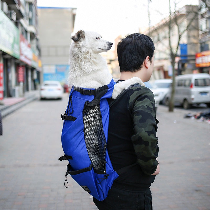 Cozy Carry Backpack for Happy Dogs