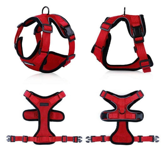 Escape-Proof Cat Harness for Safe Adventures