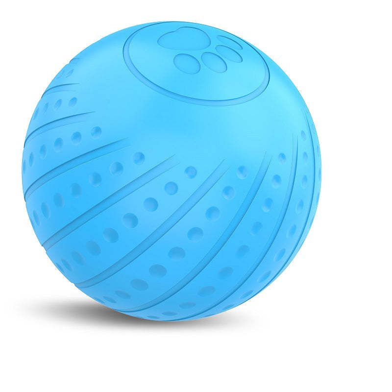 Bite-resistant Automatic Ball for Dogs