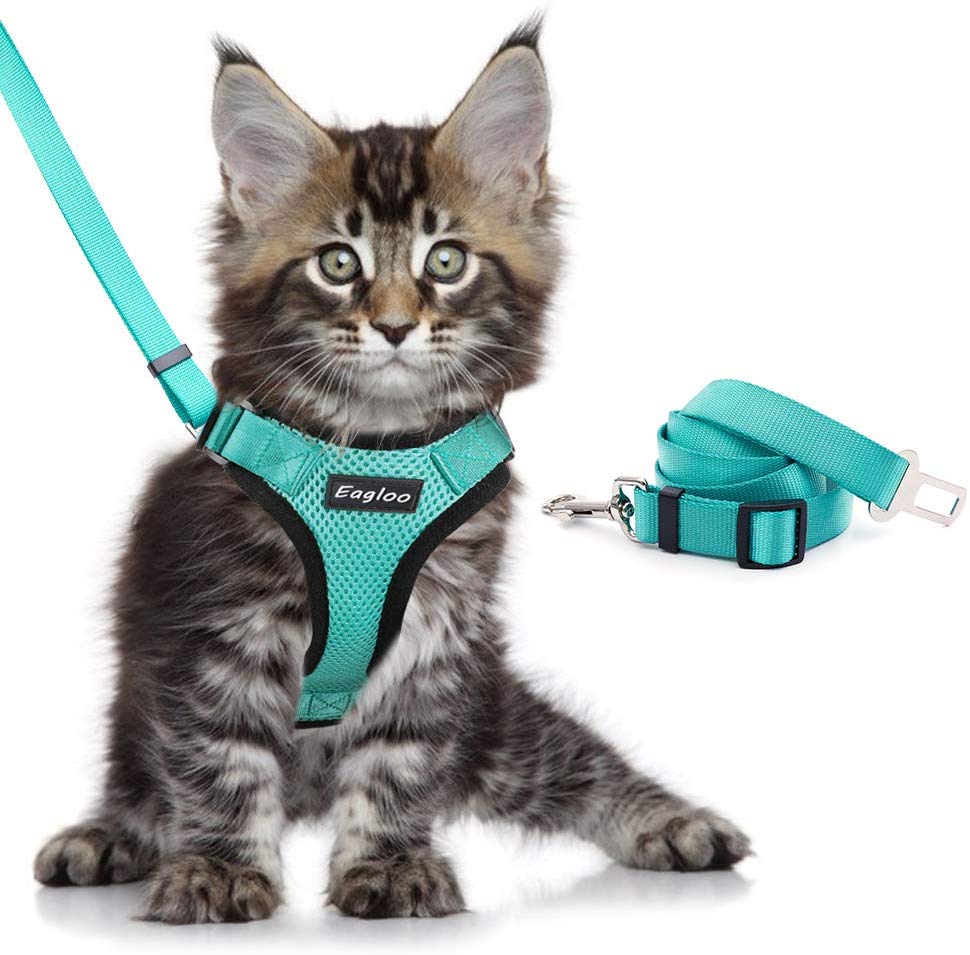 Escape-Proof Cat Harness for Safe Adventures