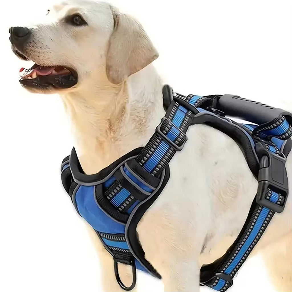 All-in-One Travel Kit for Dogs