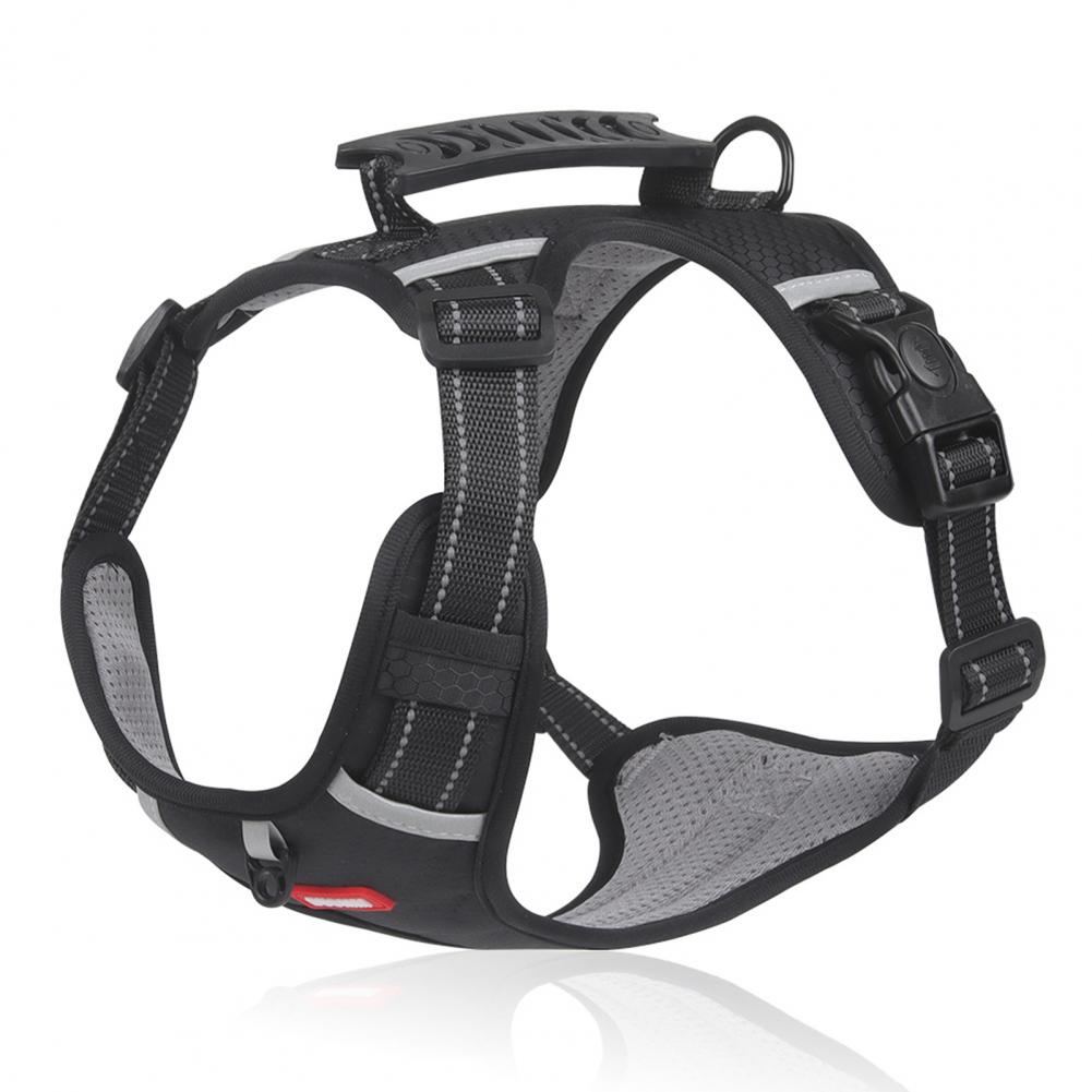 No-Pull Comfort Harness for Happy Dogs