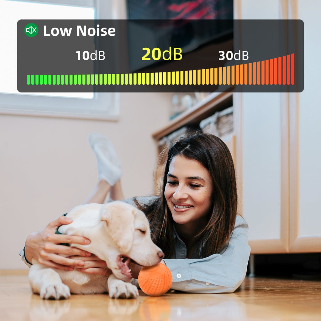 Bite-resistant Automatic Ball for Dogs