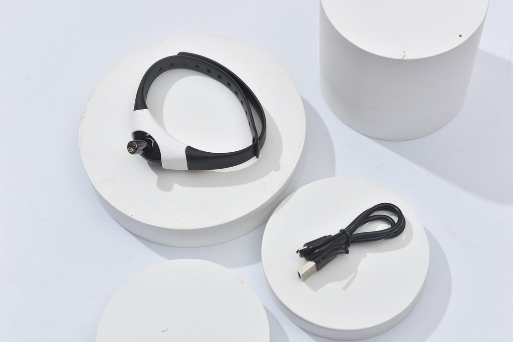 Smart Play Laser Toy for Curious Cats